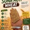 gunvantam farms paighambari sona moti wheat flour